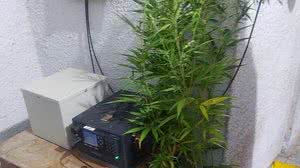 Foto: Divulgação/SSP