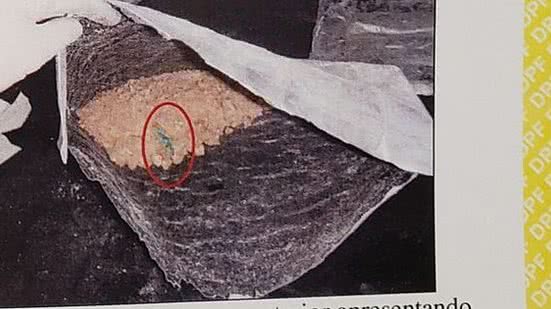 Droga estava escondida em fundo falso de mala | Divulgação / PF