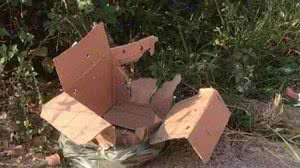 Foto: Reprodução/Redes Sociais