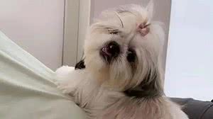 Foto: Reprodução/Redes Sociais