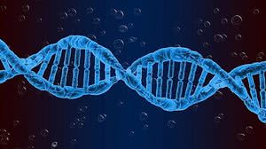 Foto: Reprodução/Pixabay