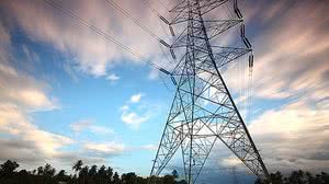 Bandeira estará verde | Pexels