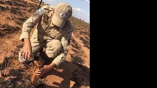 Tatu é socorrido por bombeiro | Reprodução / Instagram