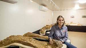 Steve Young / The Eromanga Natural History Mu