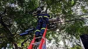 Divulgação/Diogo França