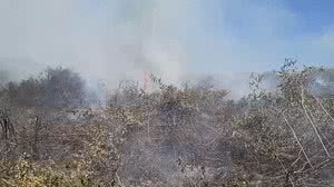 Foto: Reprodução/CBMMS