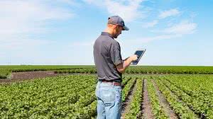 Divulgação/Blog Coletum