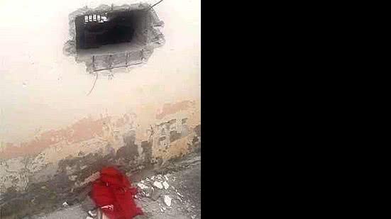 Reprodução/WhatsApp