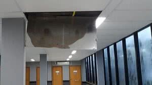 Reprodução / Redes Sociais