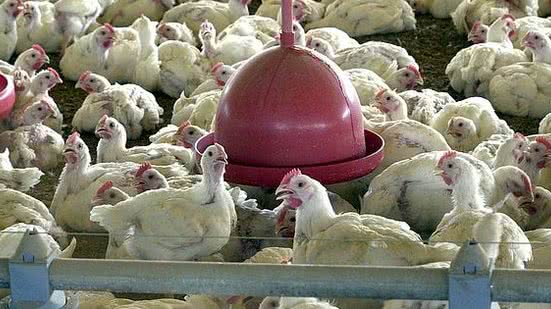 Arquivo/Agência Brasil