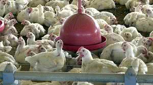 Arquivo/Agência Brasil