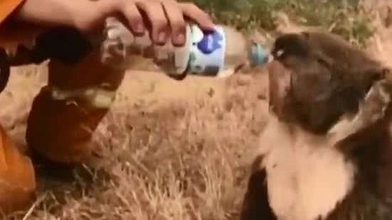 Reprodução / ABC News