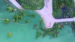 Arquivo/Paulo Nemézio/TV Pajuçara