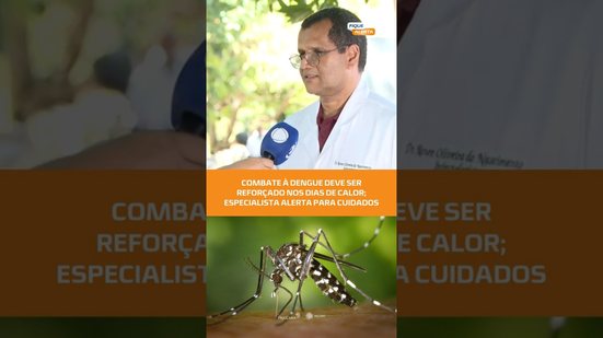 Dias de calor exigem atenção contra a dengue; veja os cuidados!