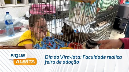 Dia do Vira-lata: Faculdade realiza feira de adoção