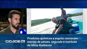 Produtos químicos e esgoto causaram mortes de peixes, segundo o Instituto do Meio Ambiente