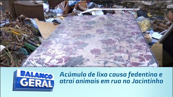 Acúmulo de lixo causa fedentina e atrai animais em rua no Jacintinho