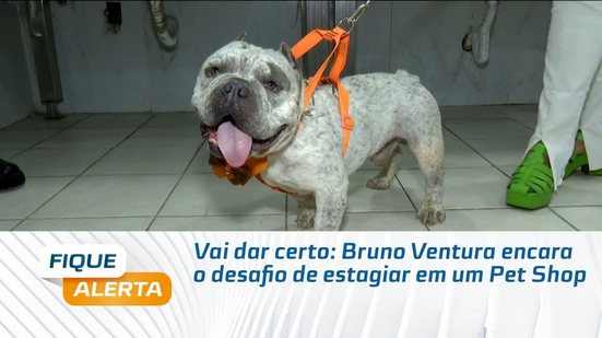 Vai dar certo? Bruno Ventura encara o desafio de estagiar em um Pet Shop