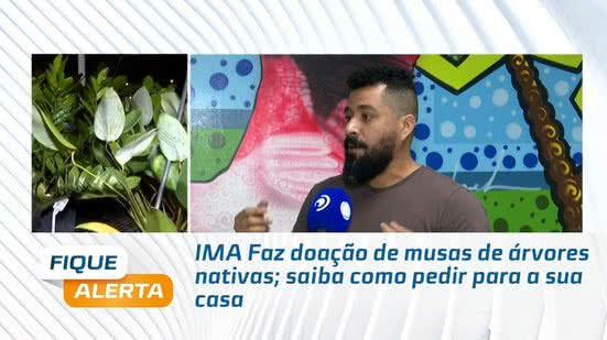 IMA Faz doação de mudas de árvores nativas; saiba como pedir para a sua casa
