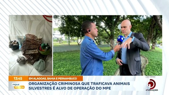 Organização criminosa que traficava animais silvestres é alvo de operação do MPE