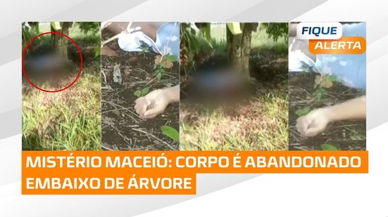 Mistério em Maceió: Homem é assassinado e corpo é abandonado embaixo de árvore
