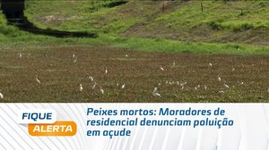 Peixes mortos: Moradores de residencial denunciam poluição em açude