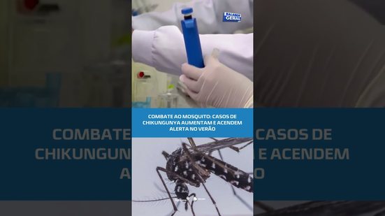 🦟ALERTA NO VERÃO: casos de chikungunya sobem e atenção redobra #BalançoGeralAL