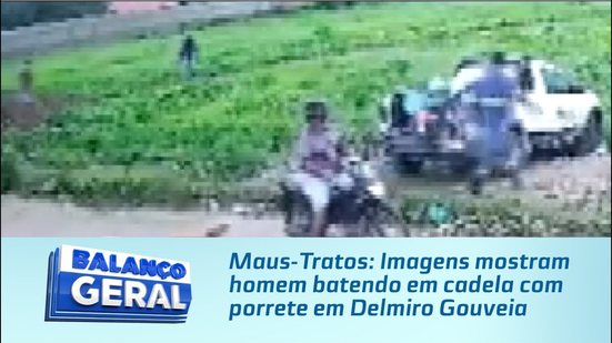 Maus-Tratos: Imagens mostram homem batendo em cadela com porrete em Delmiro Gouveia