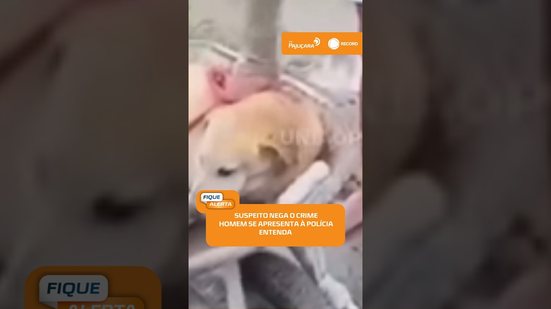 🚔 Caso do cachorro baleado: suspeito se apresenta à polícia e nega maus-tratos | #FiqueAlerta