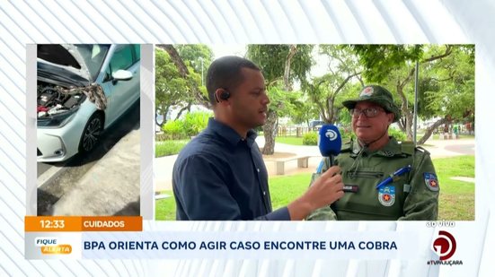 BPA orienta como agir caso encontre uma cobra