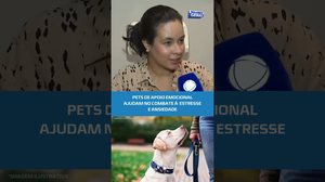 APOIO EMOCIONAL: companhia dos animais traz benefícios para saúde mental #BalançoGeralAL