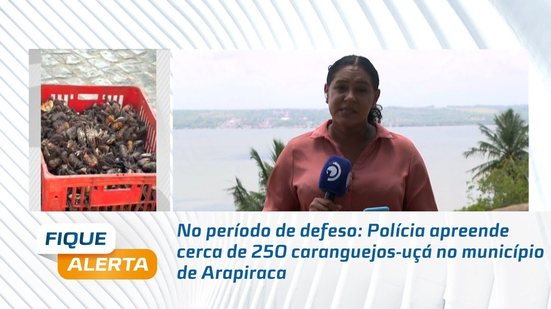 No período de defeso: Polícia apreende cerca de 250 caranguejos-uçá no município de Arapiraca