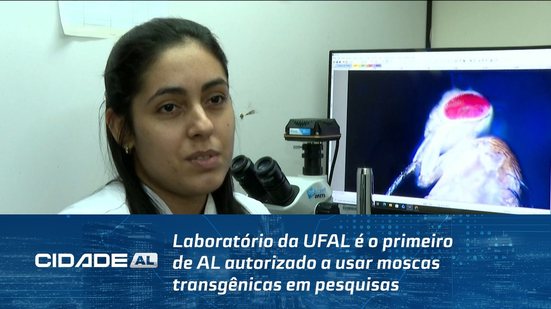 Laboratório da UFAL é o primeiro de AL autorizado a usar moscas transgênicas em pesquisas