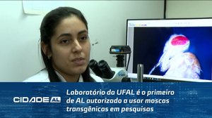 Laboratório da UFAL é o primeiro de AL autorizado a usar moscas transgênicas em pesquisas