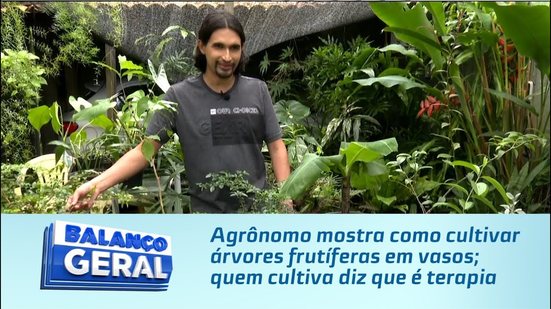 Agrônomo mostra como cultivar árvores frutíferas em vasos; quem cultiva diz que é terapia