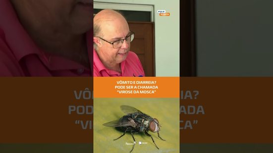 “VIROSE DA MOSCA” pode causar vômito e diarreia: infectilogista orienta