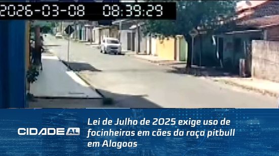 Lei de Julho de 2025 exige uso de focinheiras em cães da raça pitbull em Alagoas