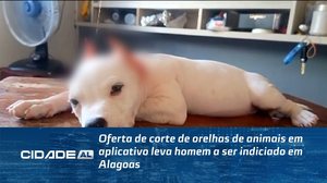 Oferta de corte de orelhas de animais em aplicativo leva homem a ser indiciado em Alagoas