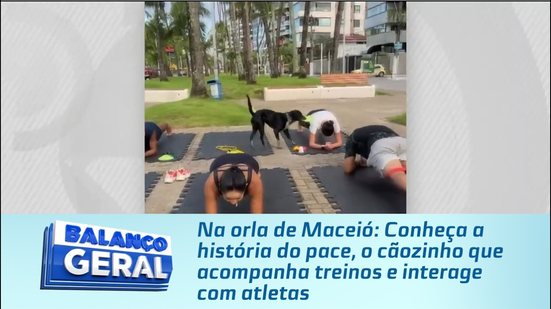 Conheça a história do pace, o cãozinho que acompanha treinos e interage com atletas