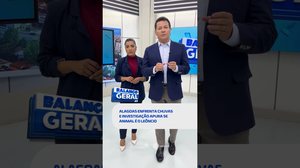 DESTAQUES: chuvas intensas em AL + investigação tenta identificar elefante-marinho #BalançoGeralAL