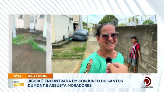Jiboia é encontrada em conjunto do Santos Dumont e assusta moradores