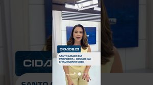 DESTAQUES: Festa de Santo Amaro em Paripueira e alerta para chikungunya #CidadeAL