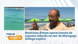 Banhistas filmam aparecimento de suposto tubarão no mar de Maragogi; biólogo explica