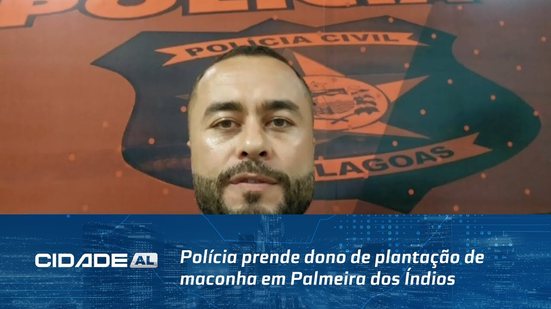 Flagrante: Polícia prende dono de plantação de maconha em Palmeira dos Índios