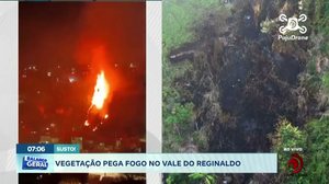 Vegetação pega fogo no Vale do Reginaldo