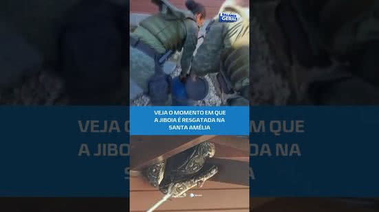 🐍 Moradores se assustam com visita inesperada de jiboia em Maceió #BalançoGeralAL