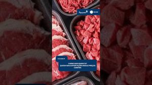 🥩 Preço da carne cai e consumidor encontra cortes mais em conta | #CidadeAL