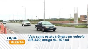 Veja como está o trânsito na rodovia BR-349, antiga AL-101 sul