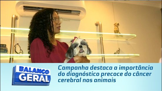 Campanha destaca a importância do diagnóstico precoce do câncer cerebral nos animais
