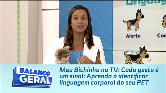 Meu Bichinho na TV: Cada gesto é um sinal: Aprenda a identificar linguagem corporal do seu PET